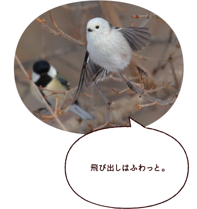 飛び出しはふわっと。