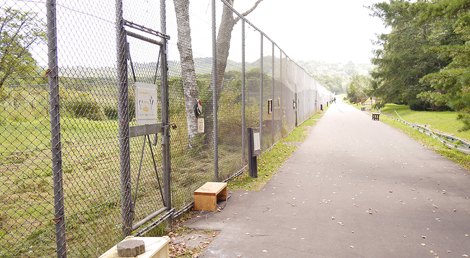 釧路市丹頂鶴自然公園